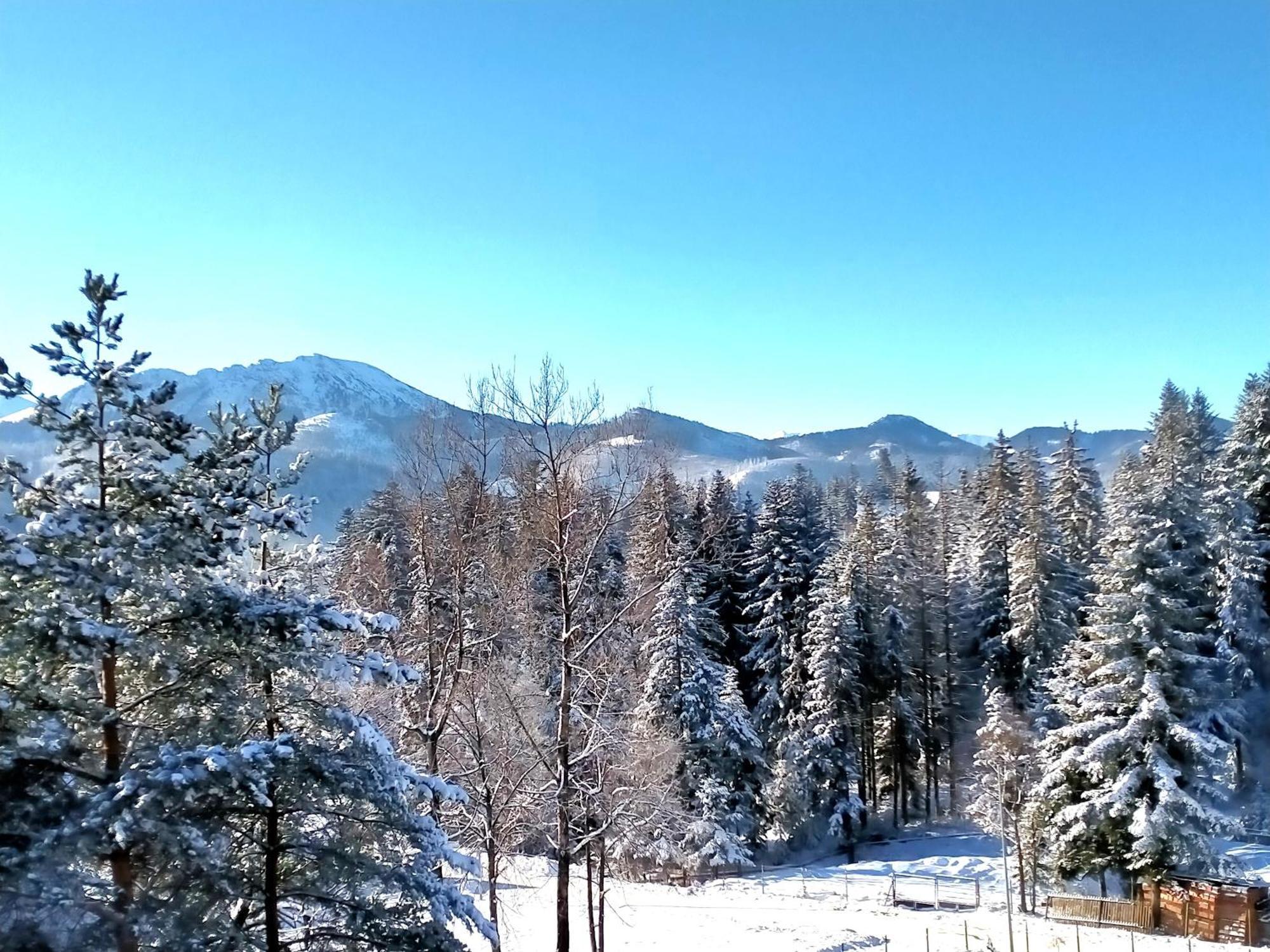 Pokoje Goscinne " W Zasiegu Tatr" Kościelisko Exterior foto